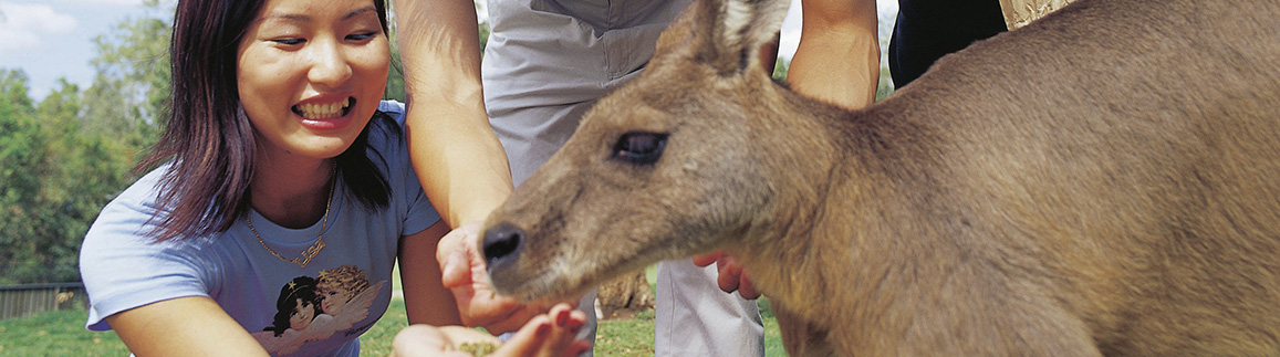 Australian Study Tours
